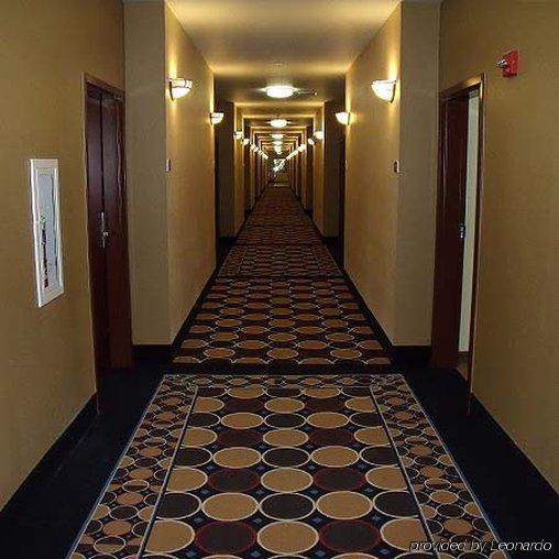 Irish Inn And Suites Muleshoe Exterior foto